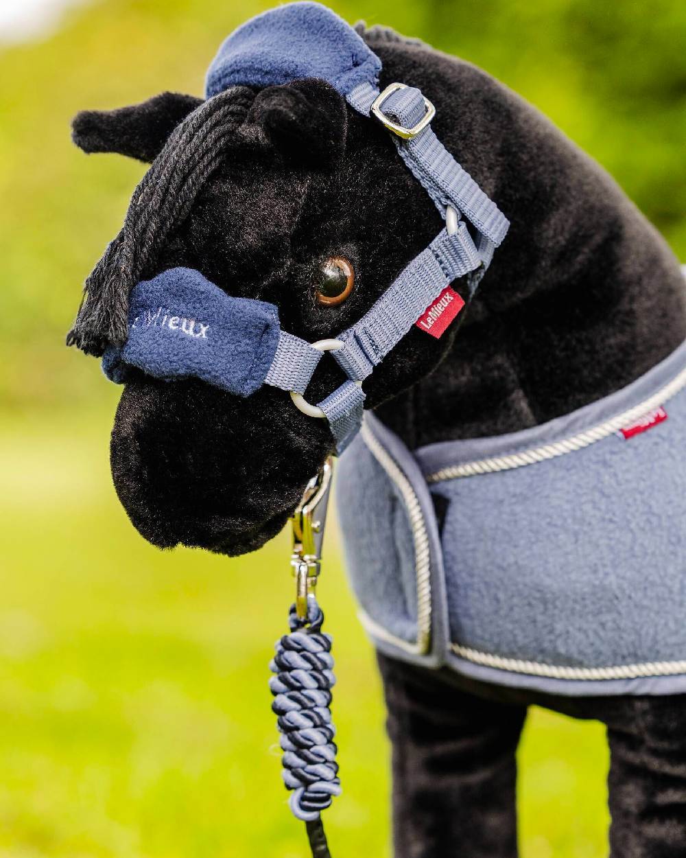 Jay Blue coloured LeMieux Toy Pony Vogue Headcollar on green background