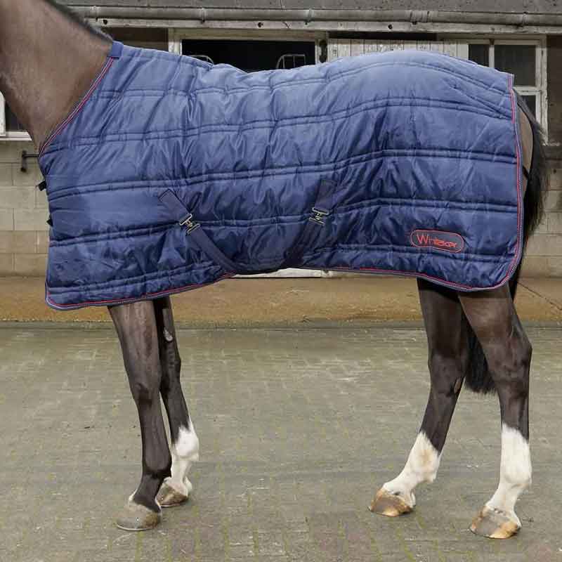 Horse Stable Rugs. Blue Quilted rug in a stable yard.
