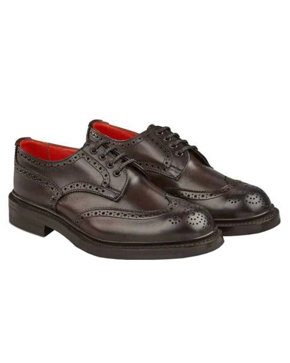Espresso Burnished Coloured Trickers Anne Leather Sole Brogue Country Shoe On A White Background