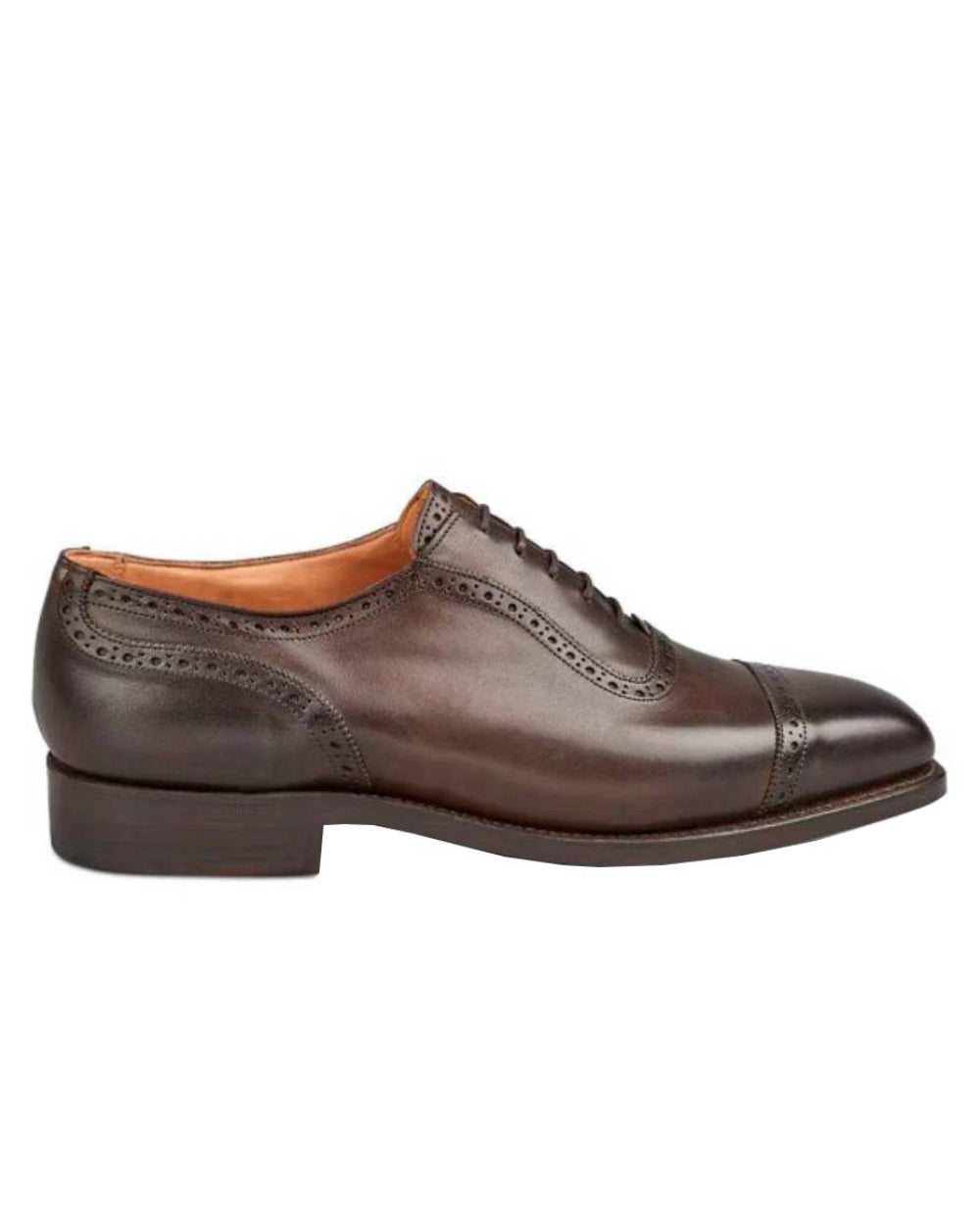 Espresso Burnished Coloured Trickers Belgrave Toecap Oxford City Shoe On A White Background