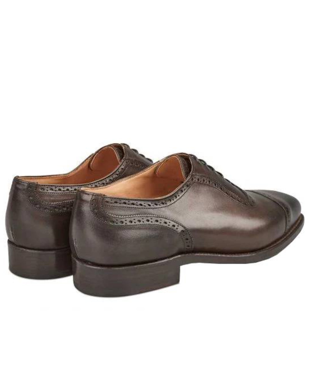Espresso Burnished Coloured Trickers Belgrave Toecap Oxford City Shoe On A White Background