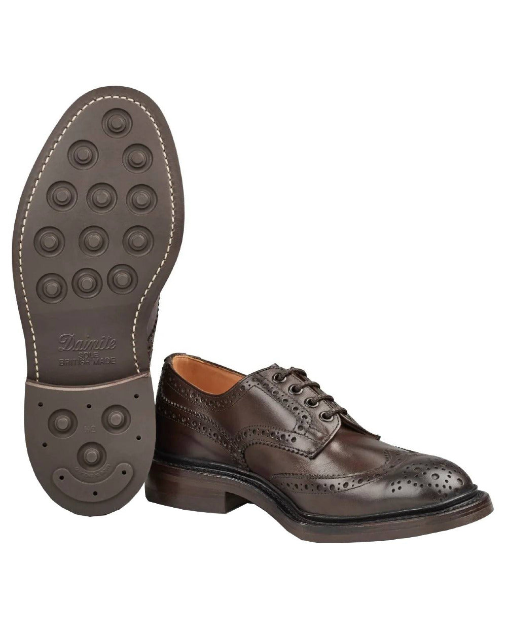 Espresso Burnished Coloured Trickers Bourton Country Shoe On A White Background