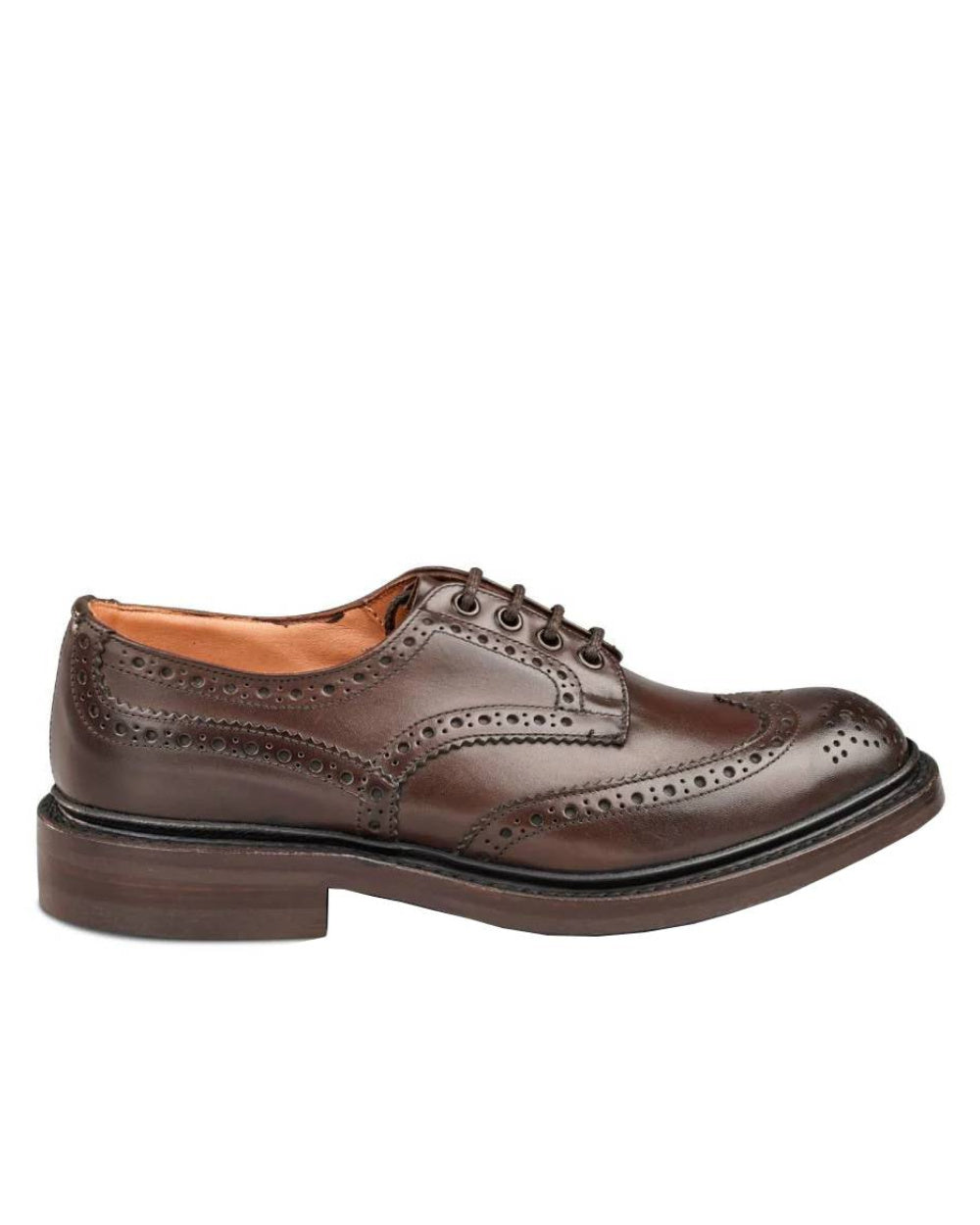 Espresso Burnished Coloured Trickers Bourton Country Shoe On A White Background