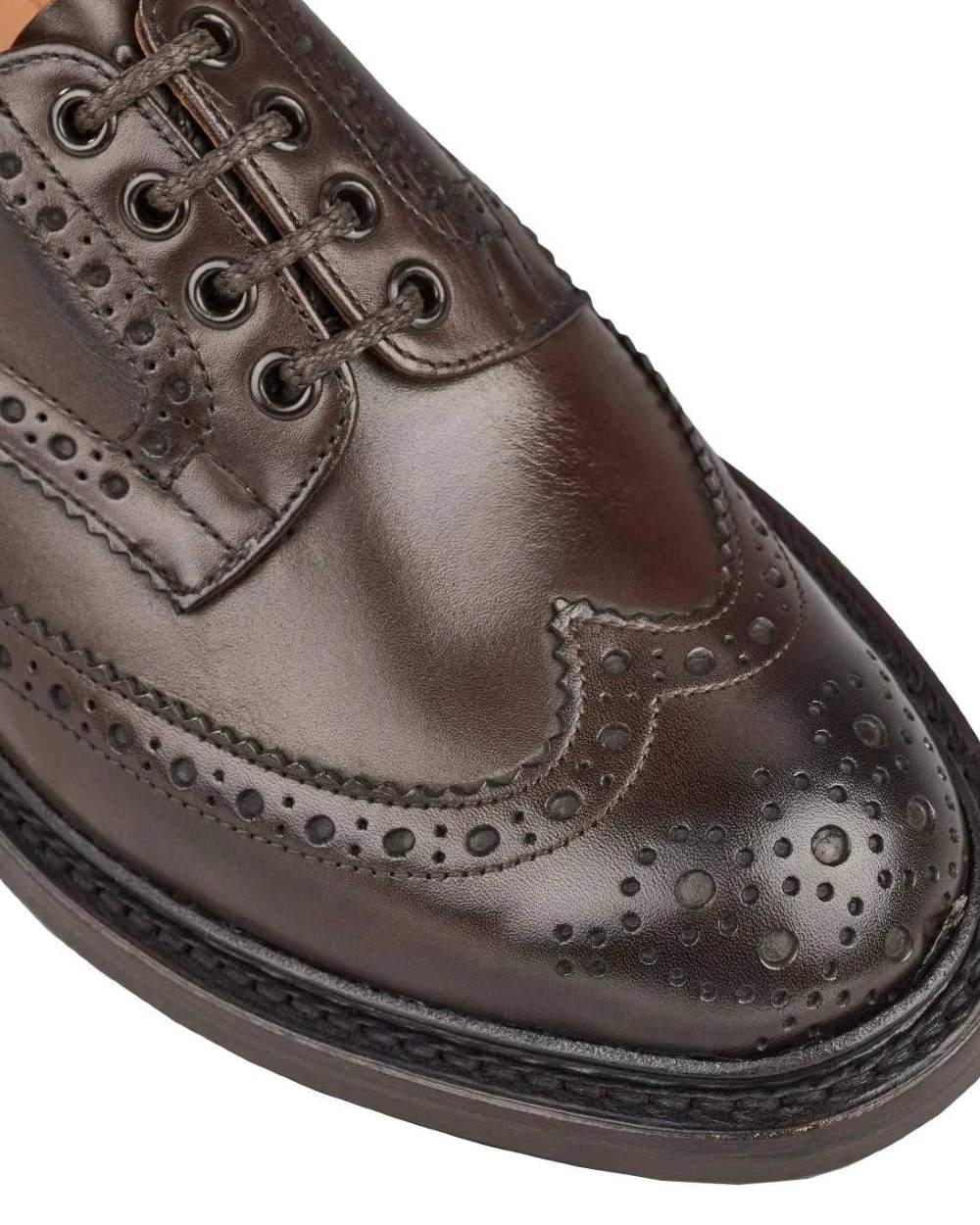 Espresso Burnished Coloured Trickers Bourton Leather Sole Country Shoe On A White Background