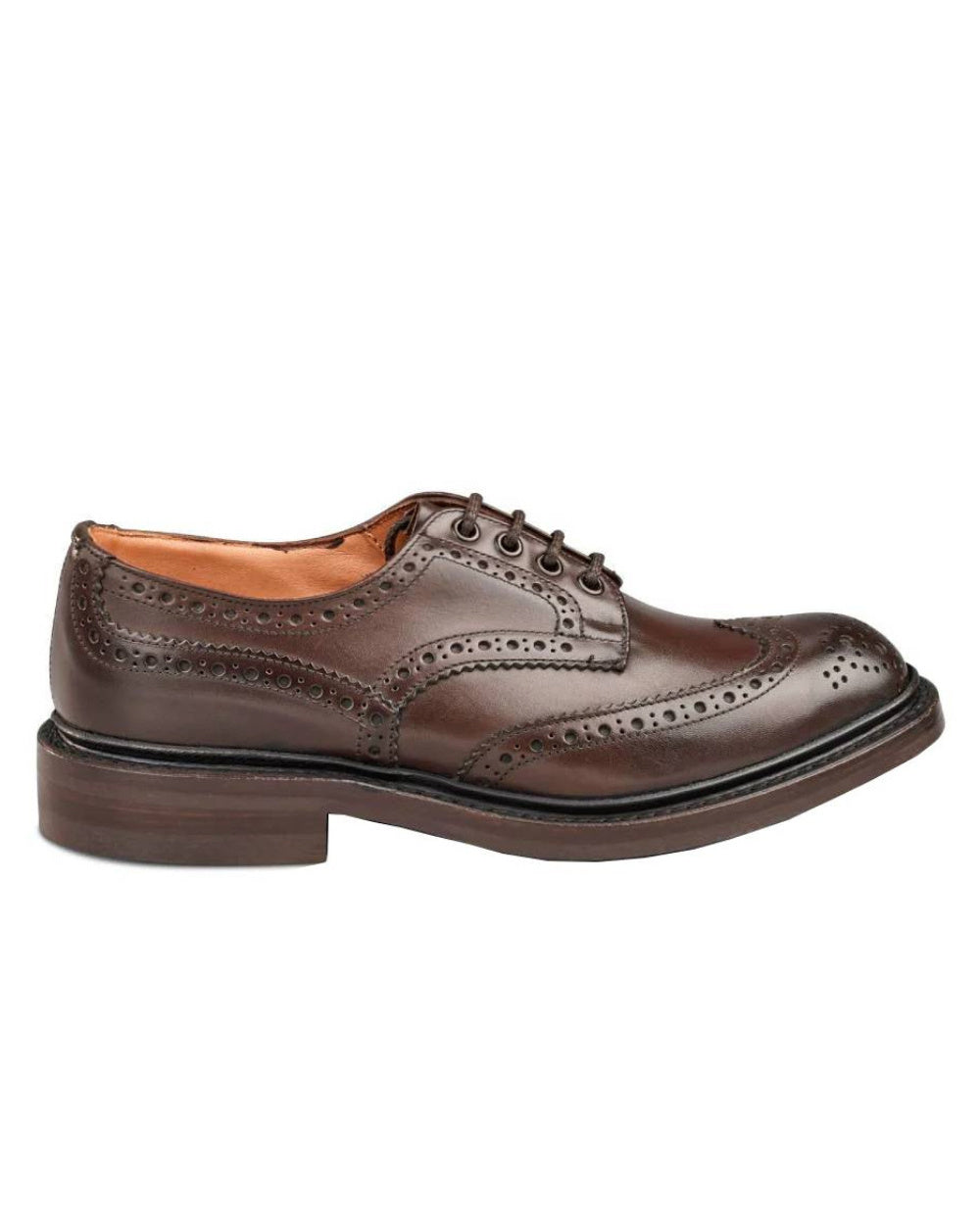 Espresso Burnished Coloured Trickers Bourton Leather Sole Country Shoe On A White Background