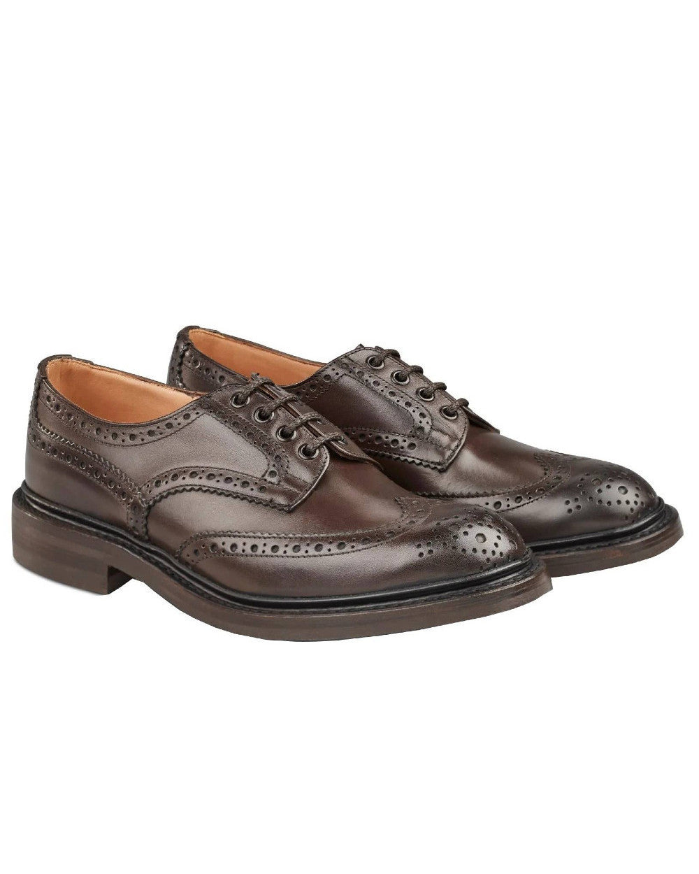 Espresso Burnished Coloured Trickers Bourton Leather Sole Country Shoe On A White Background