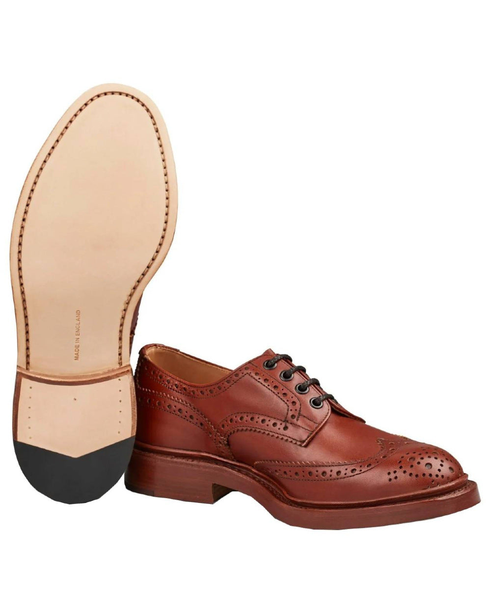 Marron Antique Coloured Trickers Bourton Leather Sole Country Shoe On A White Background