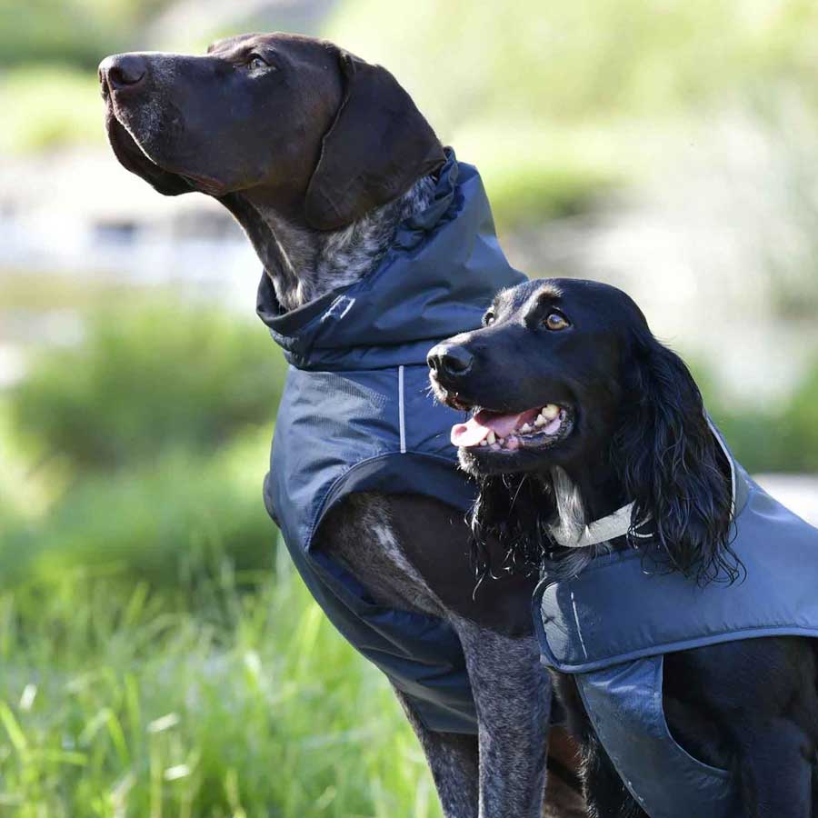 Weatherbeeta Dog Coats