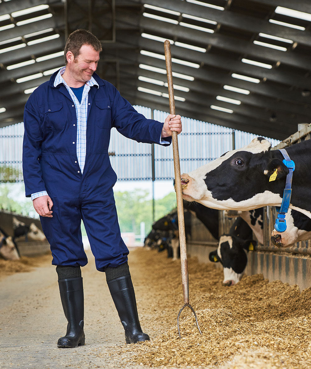 Work wear HJ Hall Wellington Sock