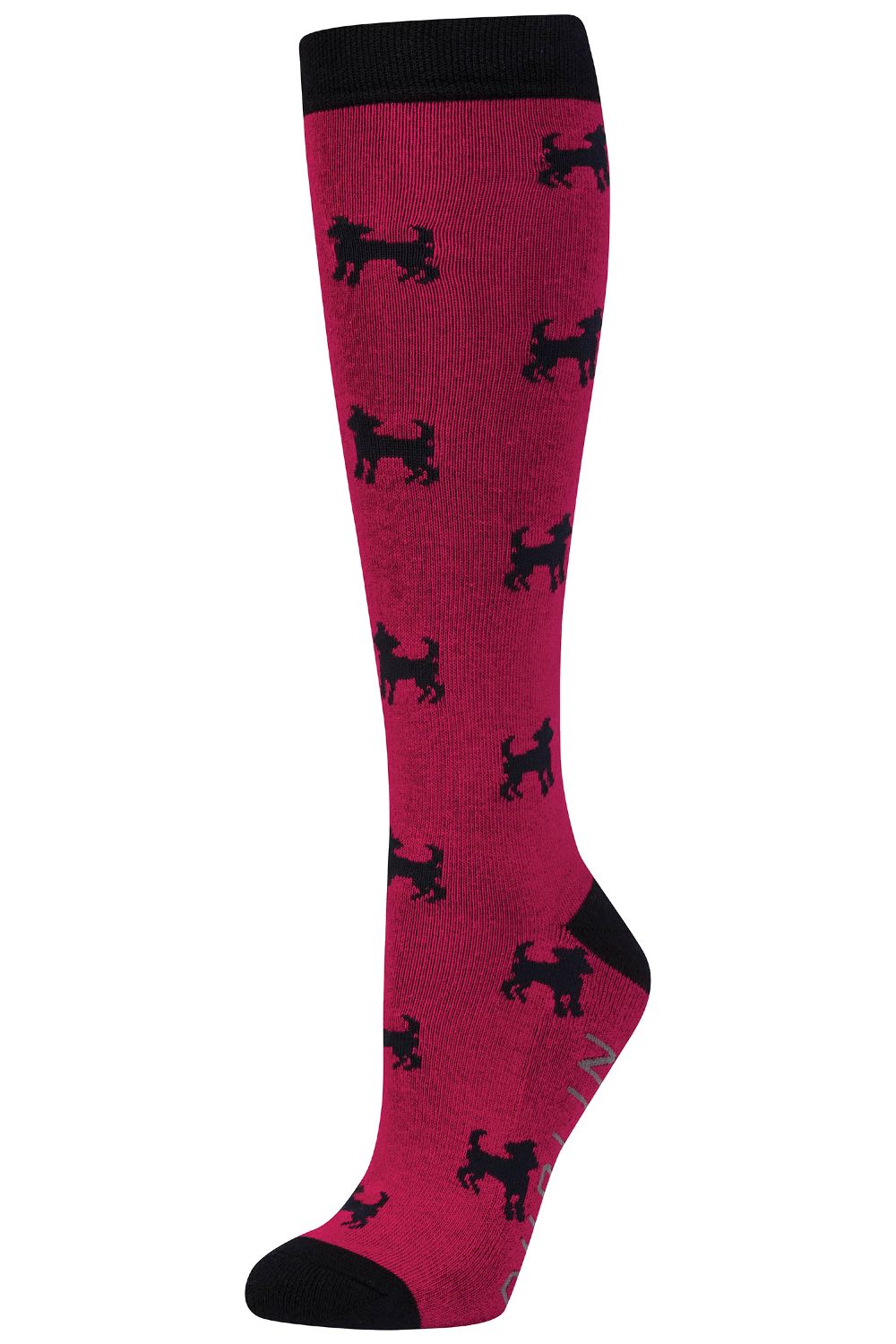 Dublin Single Pack Socks - RED DOG 