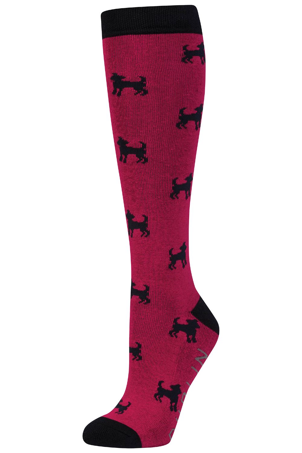 Dublin Single Pack Socks - RED DOG