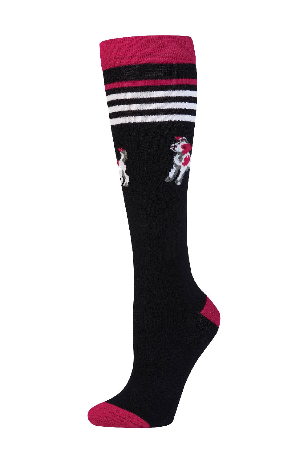 Dublin Single Pack Socks- INK DOG