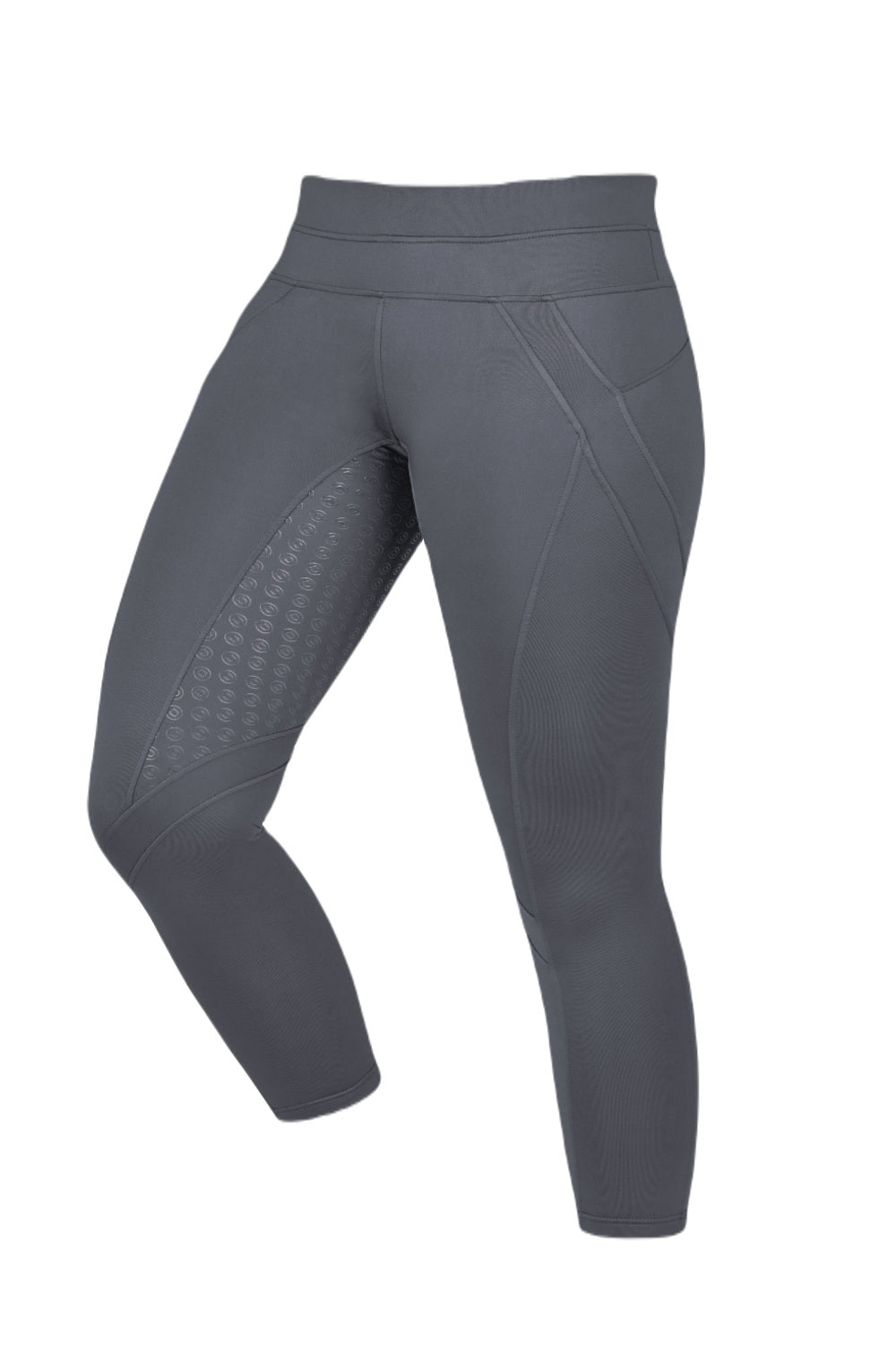 Dublin Performance Thermal Active Tights in Charcoal