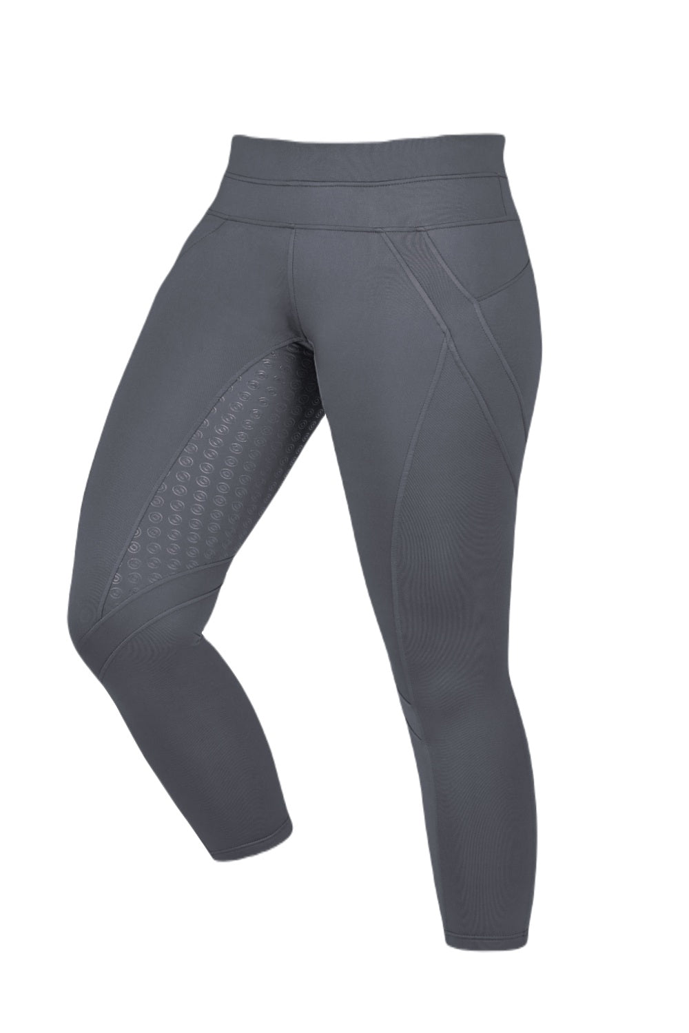 Dublin Performance Thermal Active Tights in Charcoal 