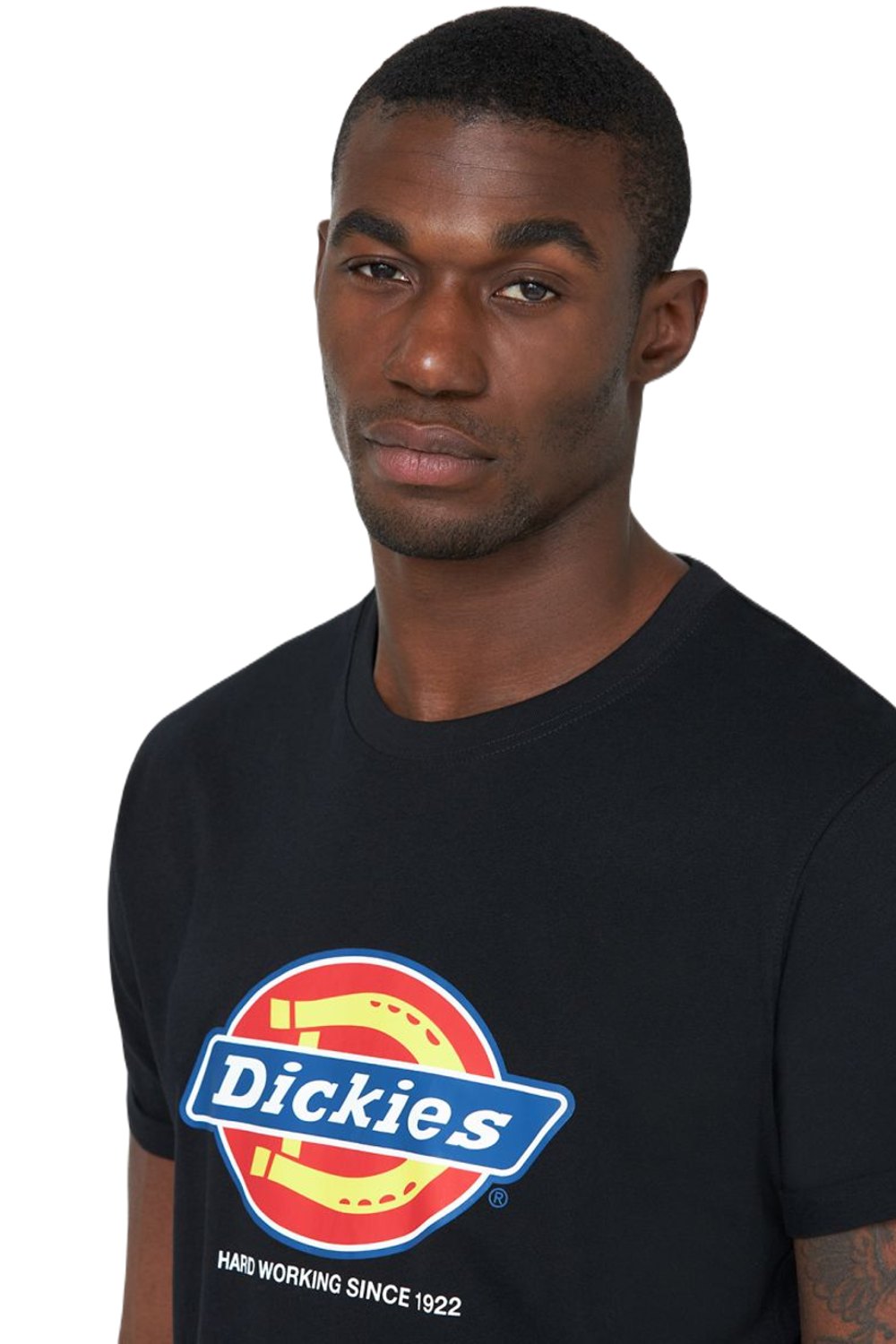 Dickies Denison T-shirt in Black 