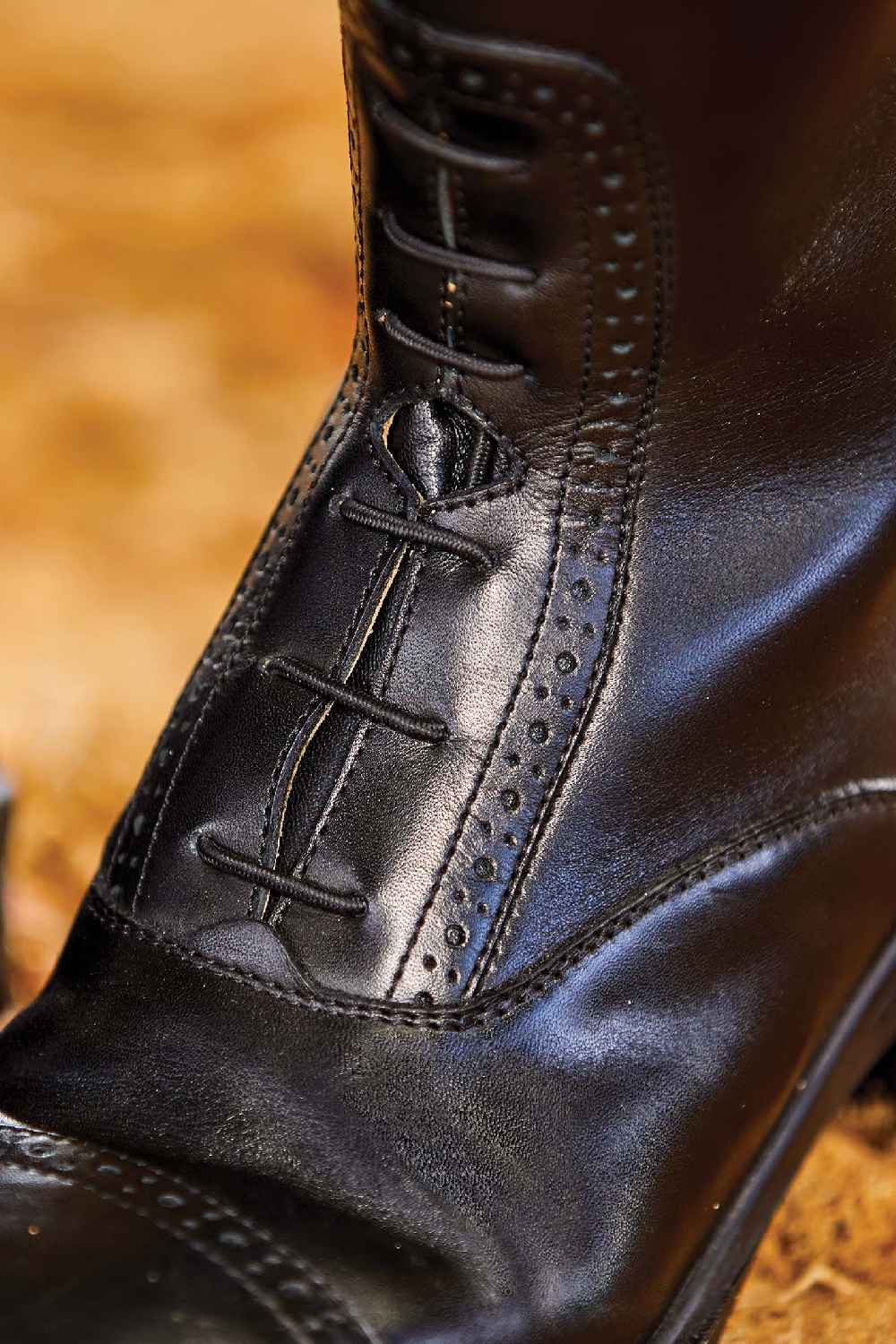 Dublin Evolution Tall Field Boots in Black