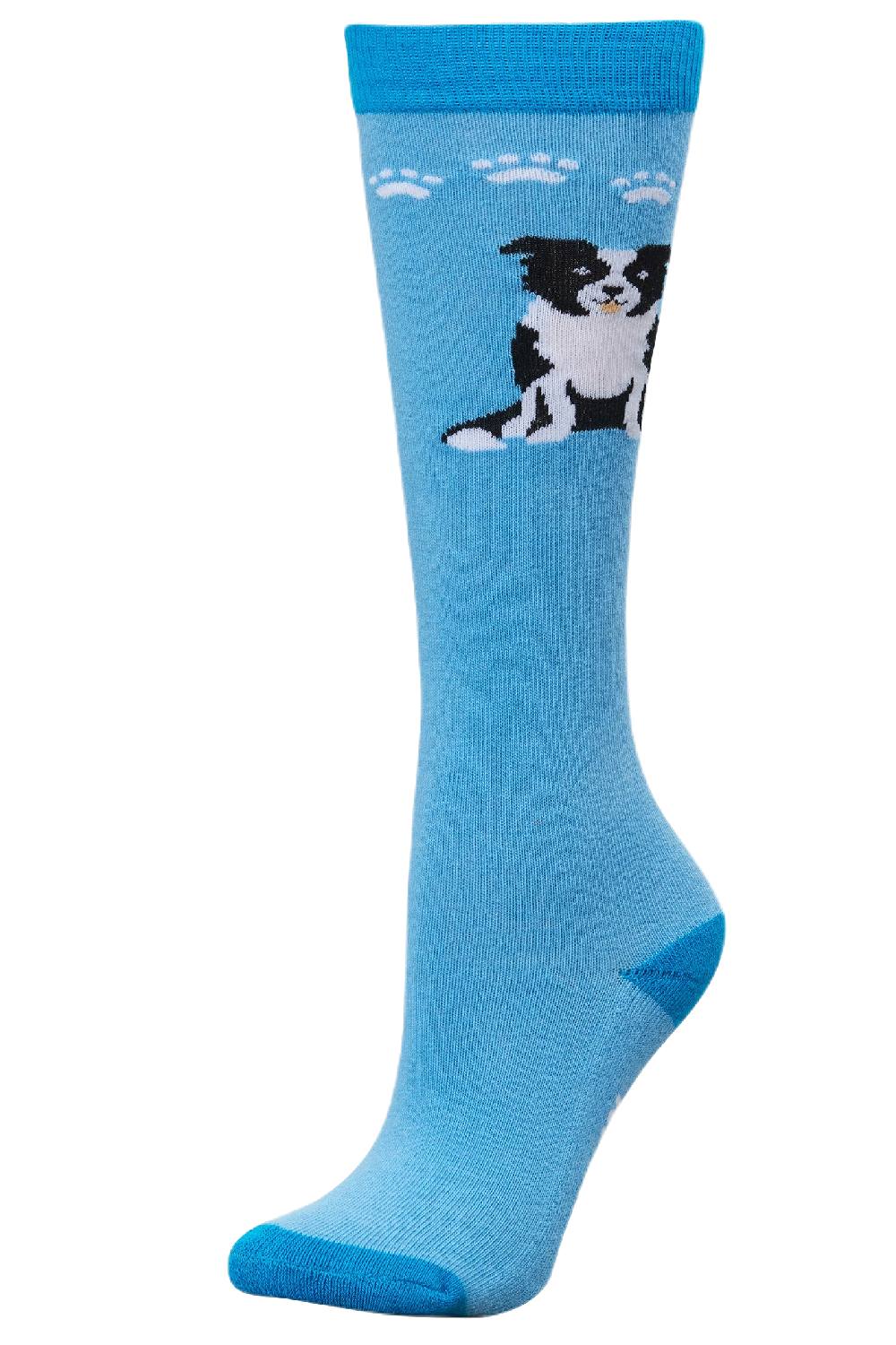 Dublin Single Pack Socks - Blue Boarder Collie