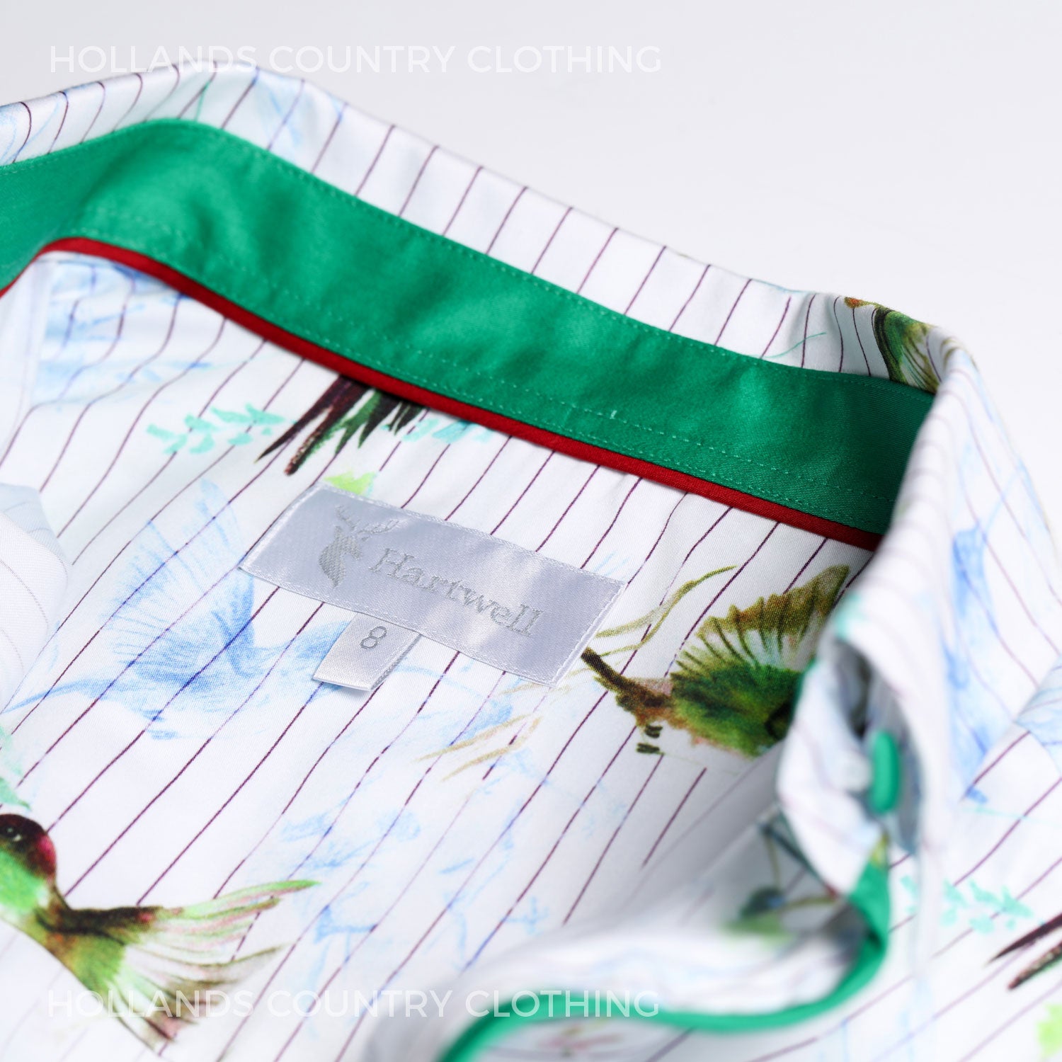 Collar hartwell shirt with green shirting in cotton