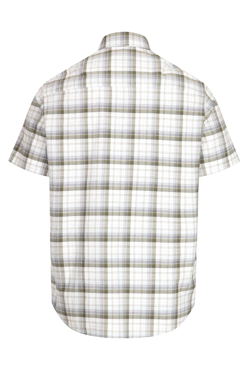 Hoggs Of Fife Tresness Short Sleeve Cotton Stretch Check Shirt in Olive Check 
