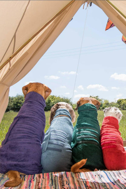 Ruff and Tumble Classic Dog Drying Coat in Blackberry, Sandringham Blue, Forest Green and Brick Red