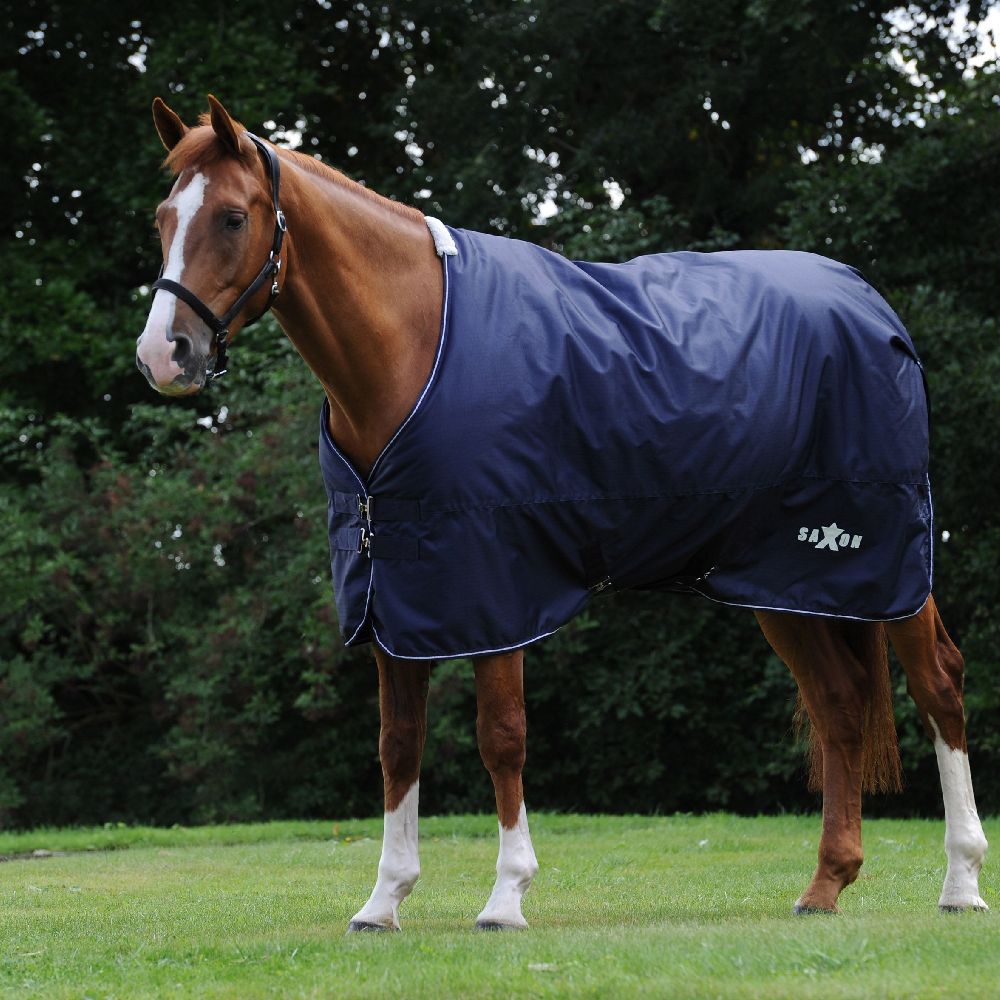 Saxon Defiant 600D Standard Neck Lite in Navy/White