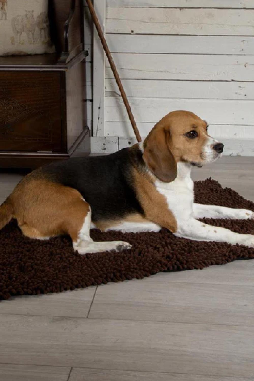 Scruffs Noodle Dry Mat in Chocolate