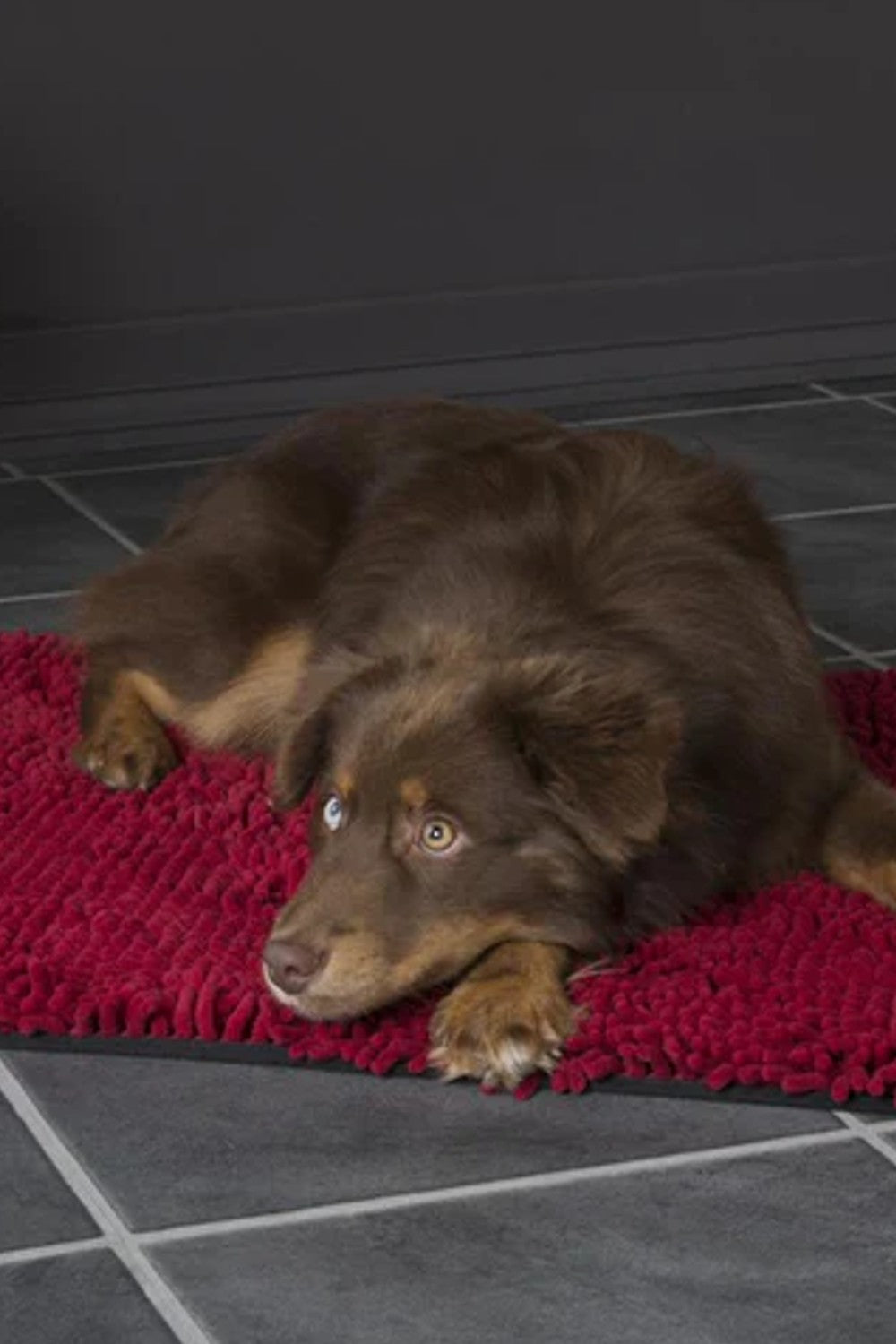 Scruffs Noodle Dry Mat in Burgundy