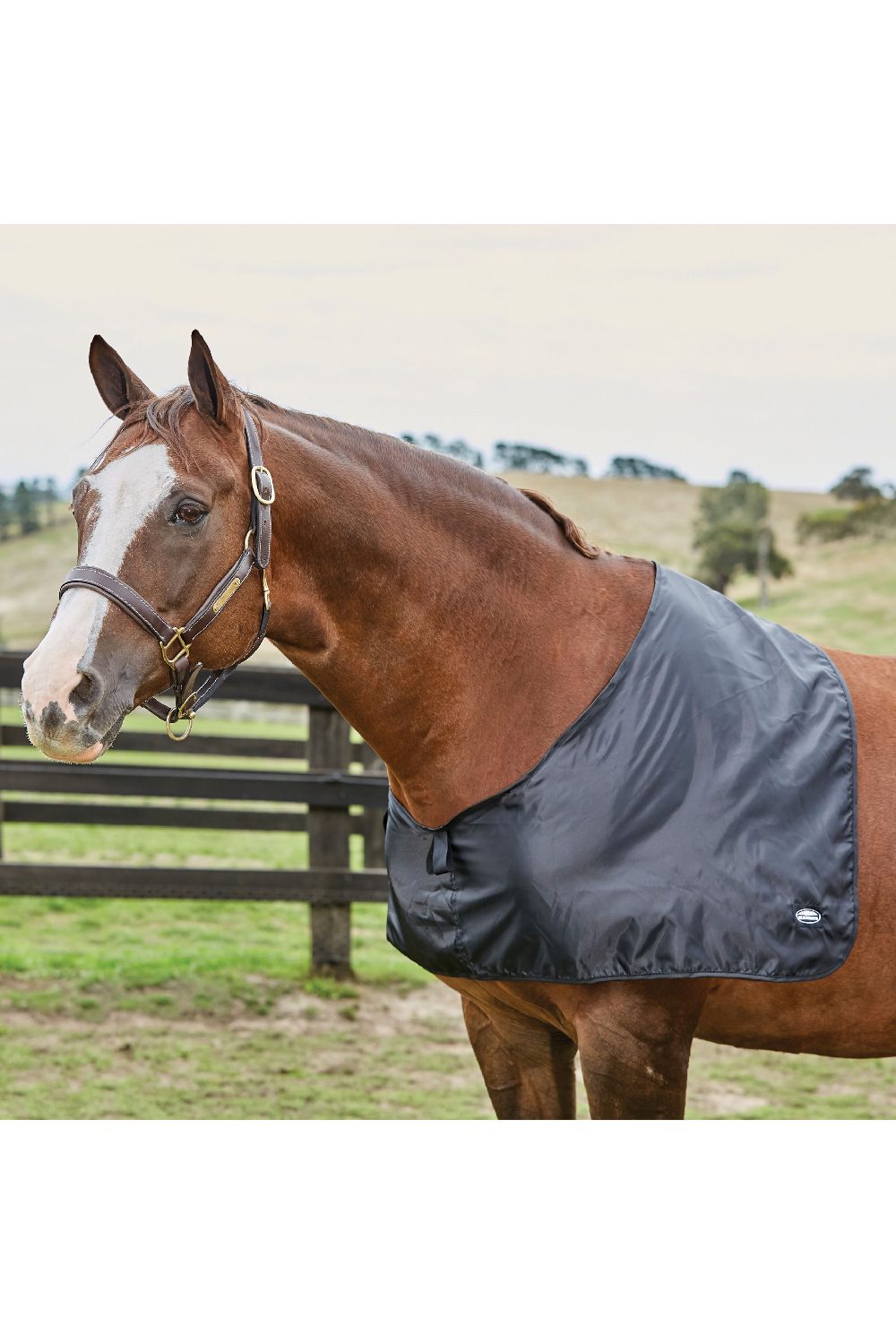 WeatherBeeta Satin Shoulder Guard in Black