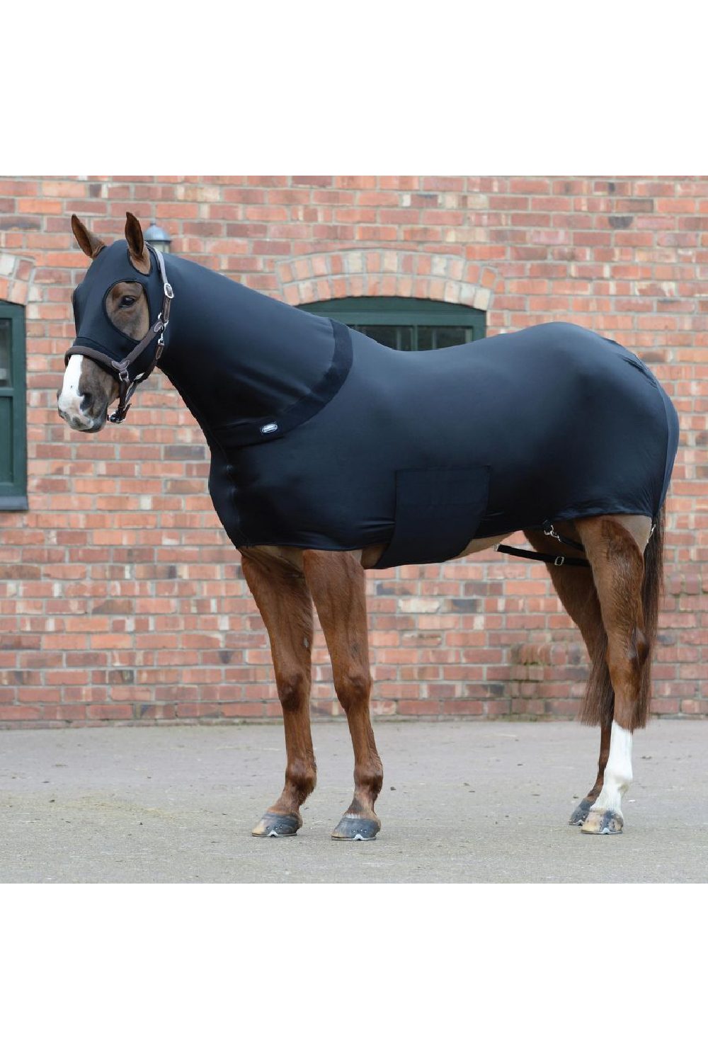 WeatherBeeta Stretch Rug in Black