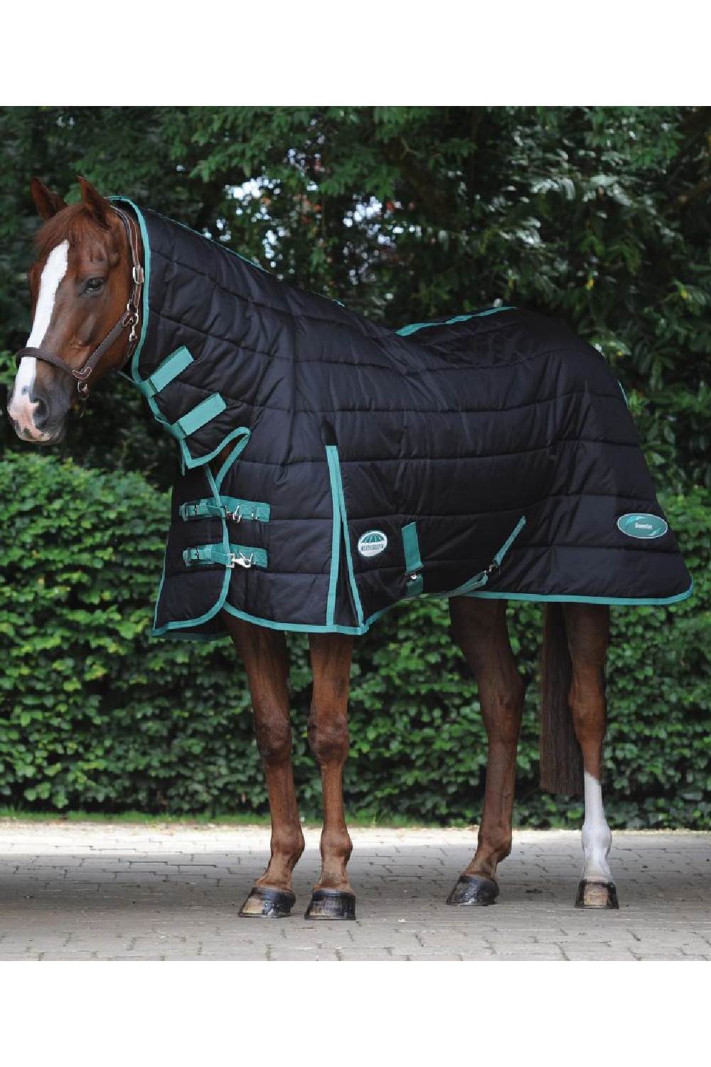 WeatherBeeta Green-Tec Stable Combo Neck Medium/Lite in Black/Bottle Green