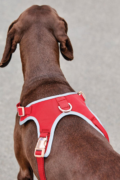 WeatherBeeta Elegance Dog Harness in Red