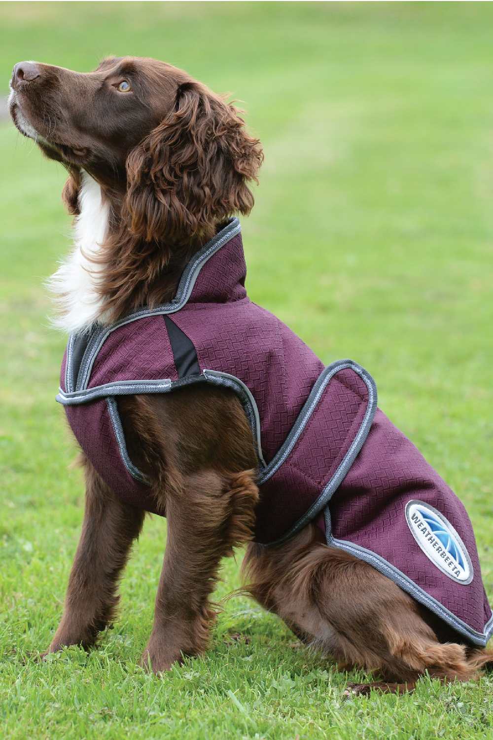 WeatherBeeta Comfitec Premier Free Parka Deluxe Dog Coat in Maroon/Grey/White