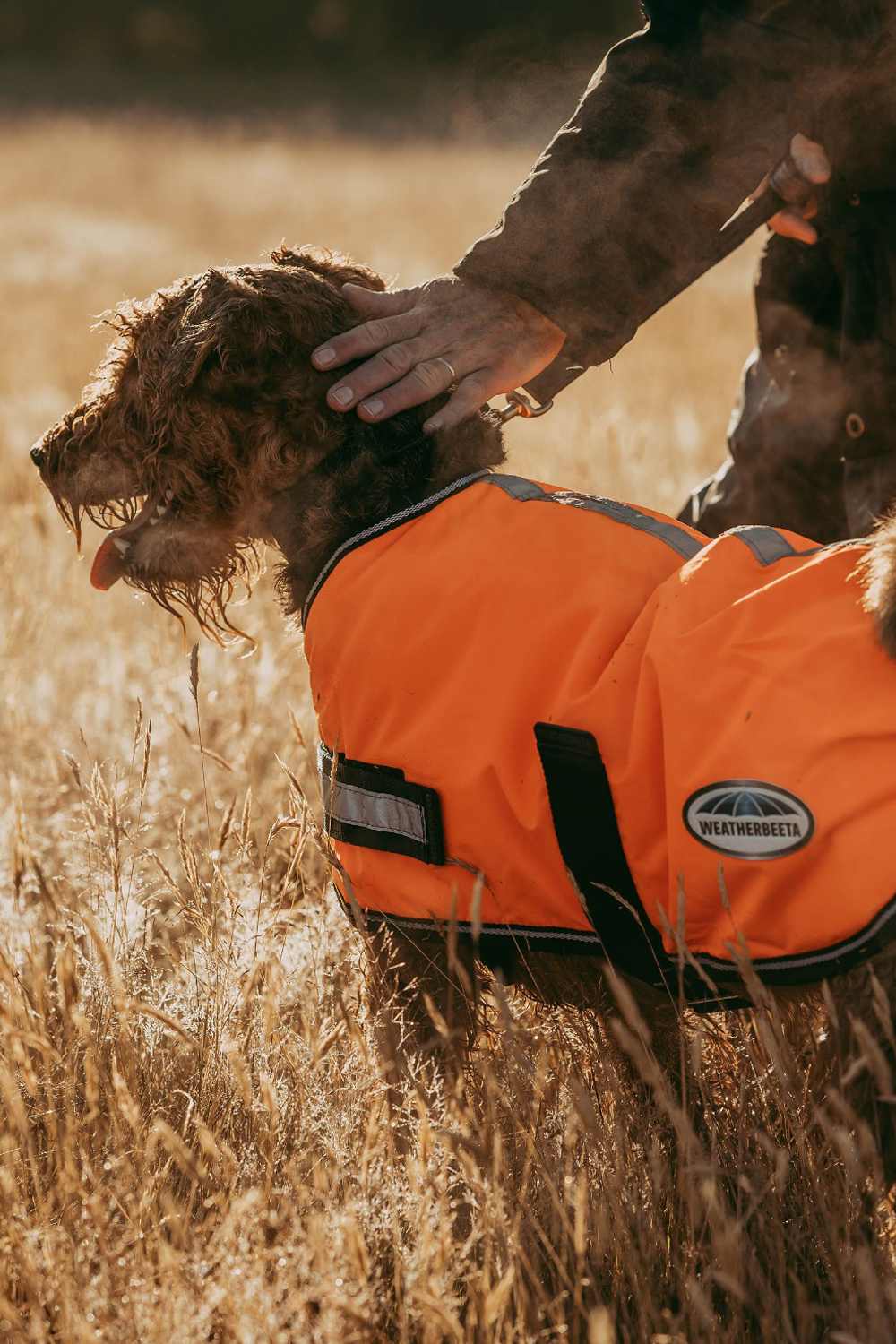 WeatherBeeta ComFiTec Reflective Parka 300D Dog Coat In Orange