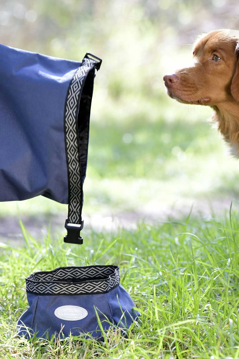 WeatherBeeta Explorer Portable Dog Food Bag In Navy