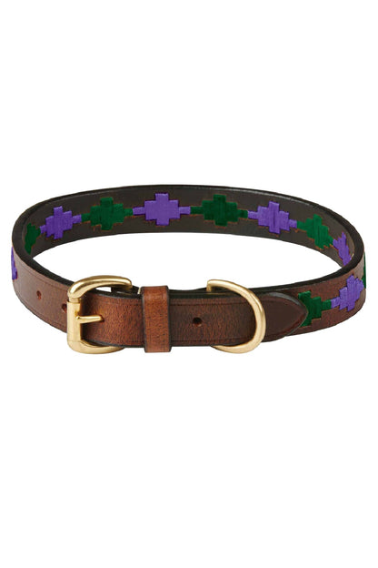 WeatherBeeta Polo Leather Dog Collar in Beaufort Brown/Purple/Teal 
