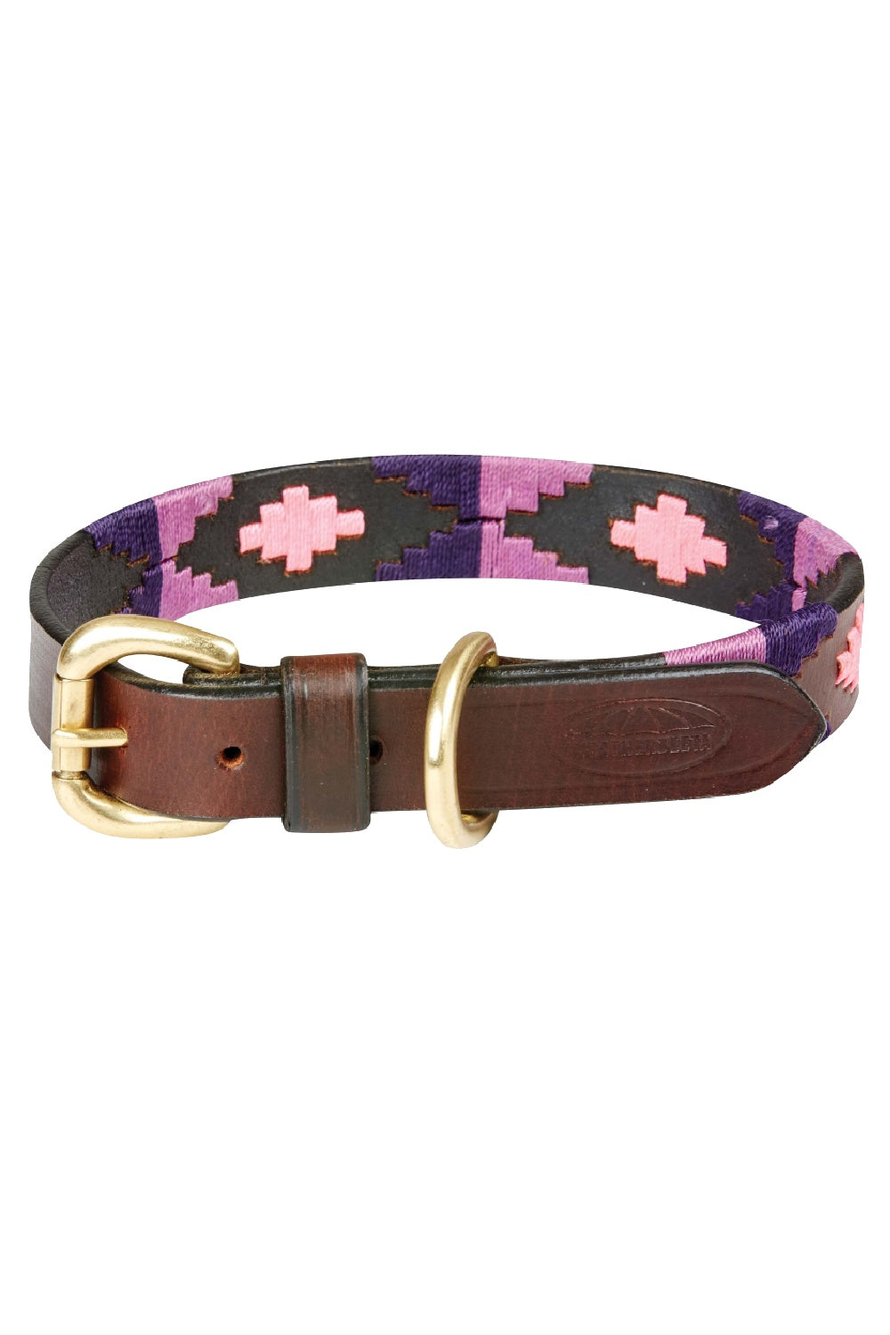 WeatherBeeta Polo Leather Dog Collar in Cowdray Brown/Purple/Purple 