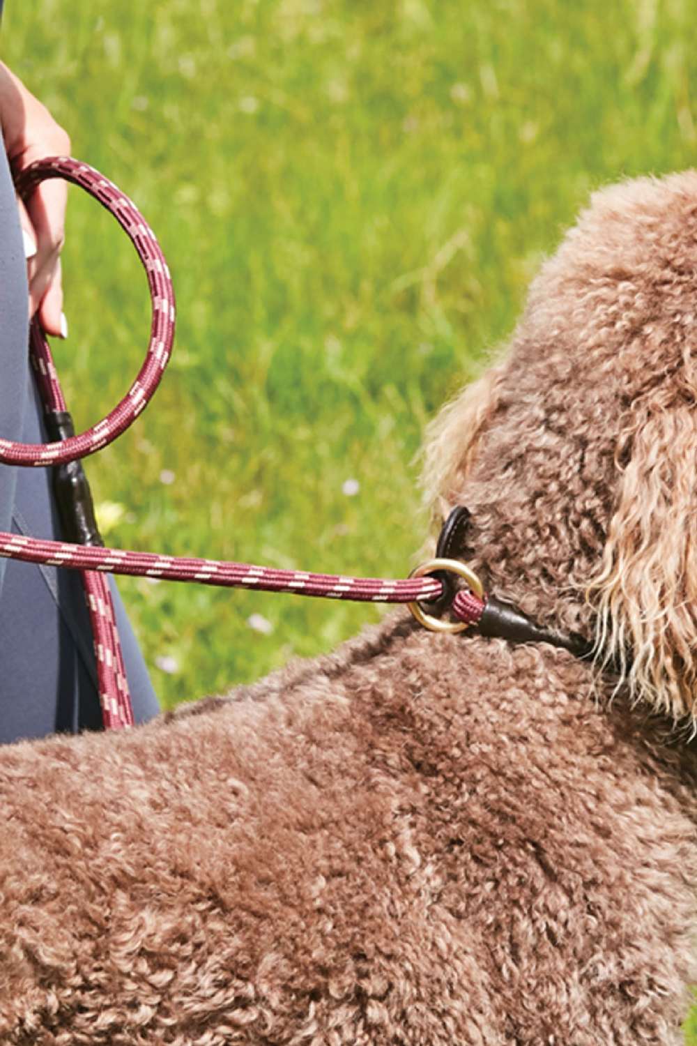 WeatherBeeta Rope Leather Slip Dog Lead in Burgundy/Brown