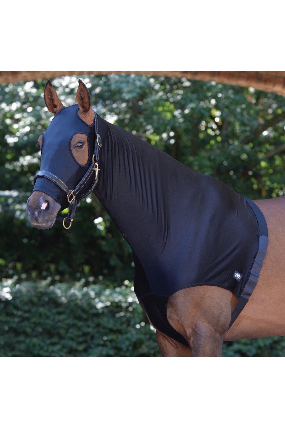 WeatherBeeta Stretch Hood With Zip in Black
