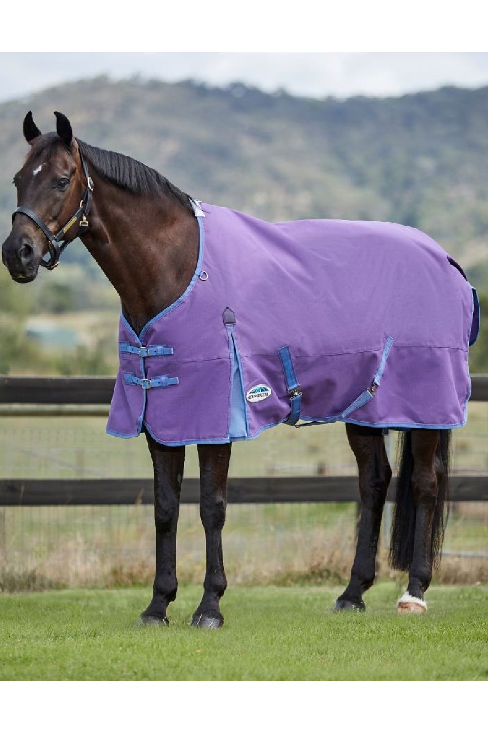 WeatherBeeta ComFiTec Essential Standard Neck Lite Plus in Violet/Blue