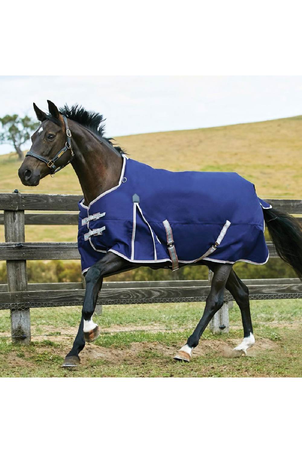 WeatherBeeta ComFiTec Essential Standard Neck Lite Plus in Navy/Silver/Red