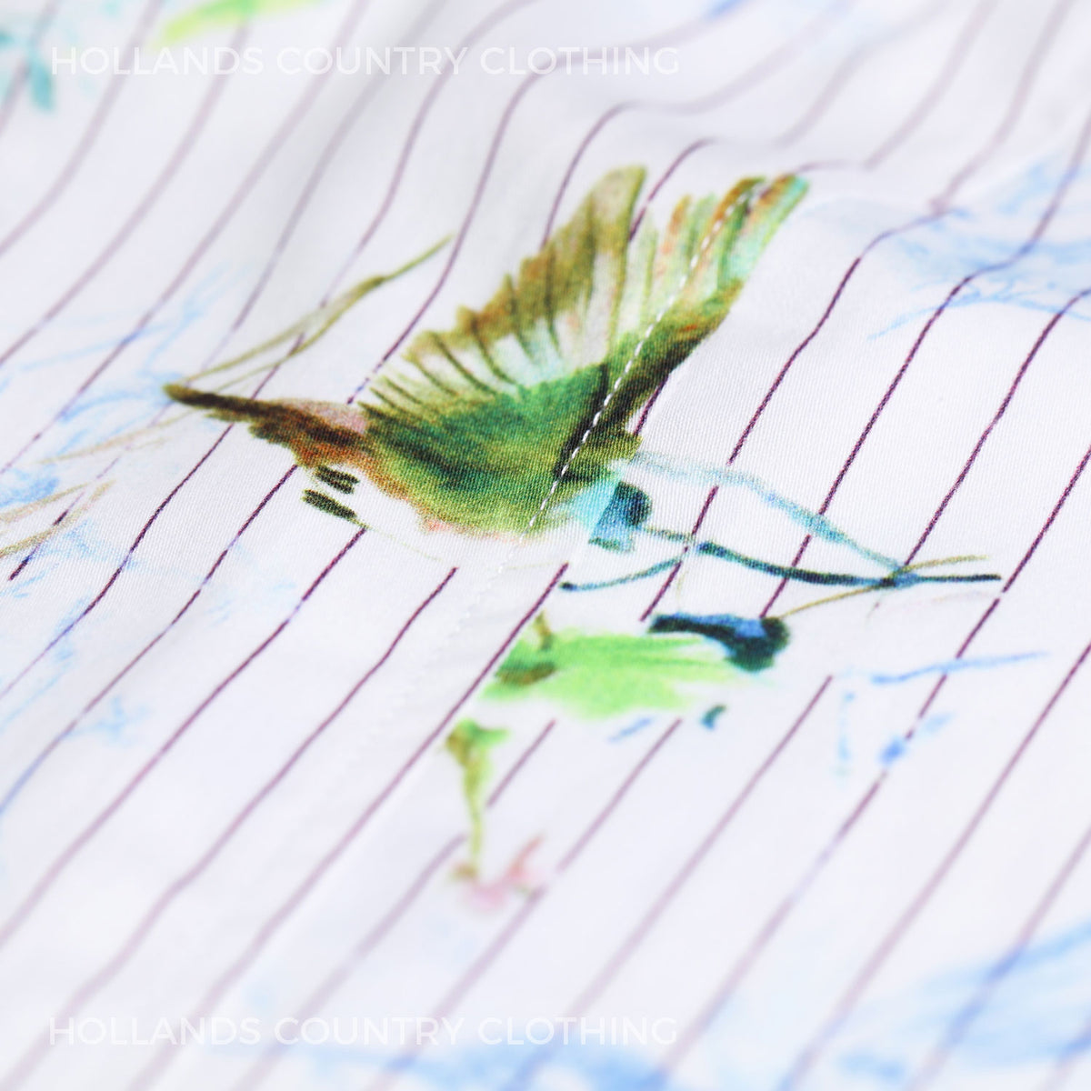 Close up Hummingbird detail