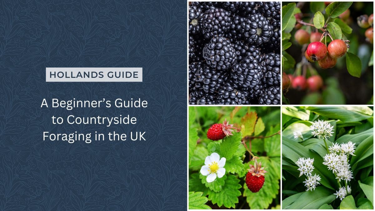 Foraging England A Beginner’s Guide to Countryside Foraging in the UK