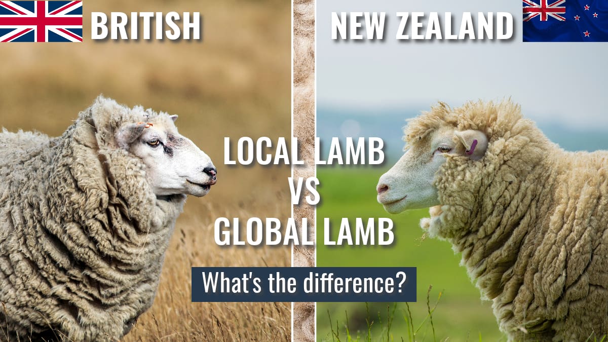 Local vs. Global | Debating British vs New Zealand Lamb