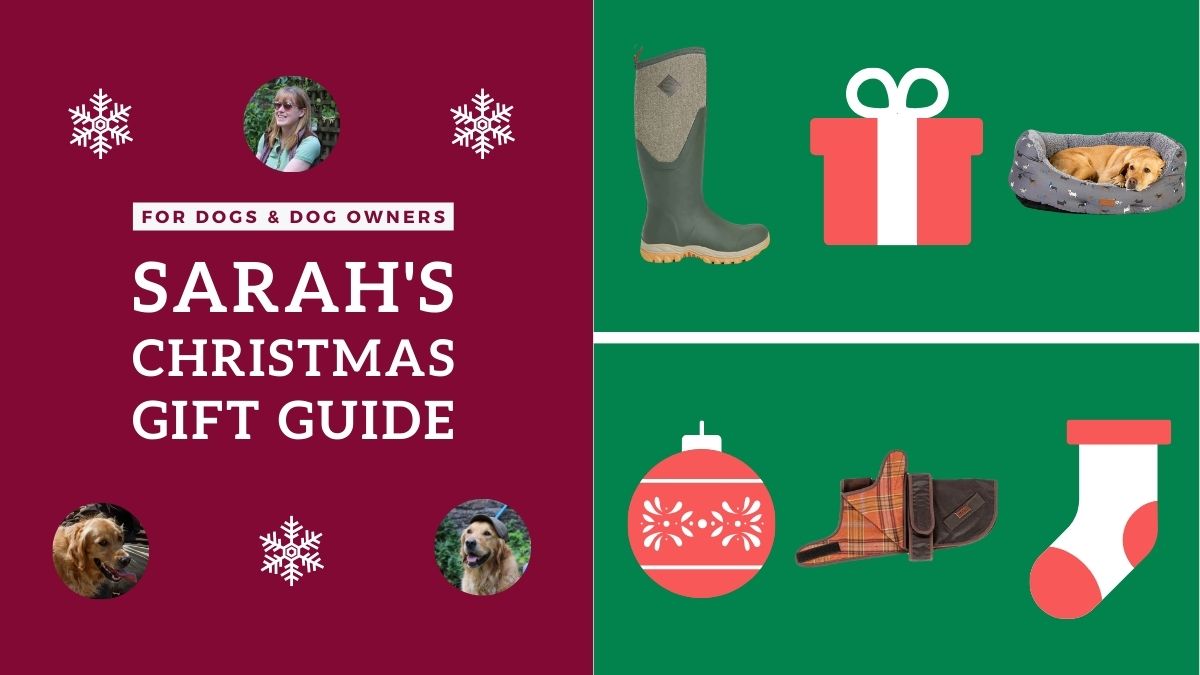 Tail-Wagging Christmas | Sarah's Pawsitively Perfect Gifts for Dogs