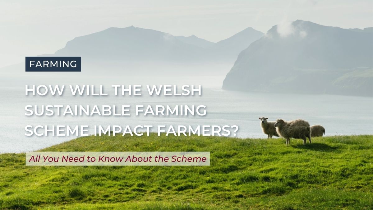 How Will the Welsh Sustainable Farming Scheme Impact Farmers?