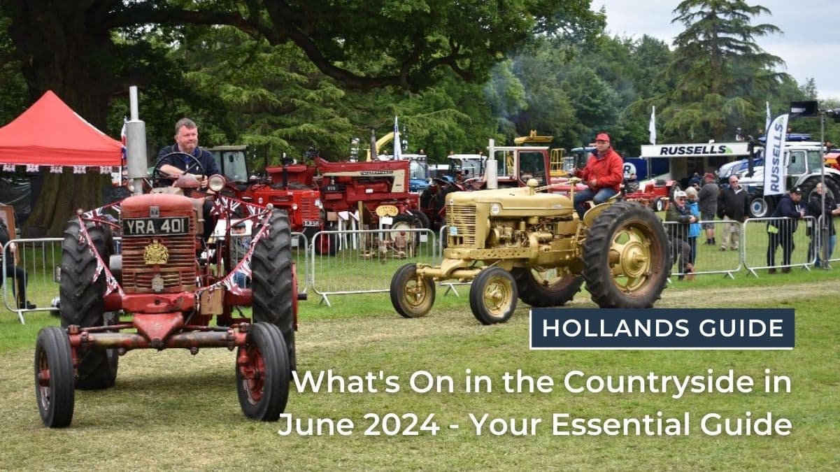 What's On in the Countryside in June 2024 - Your Essential Guide