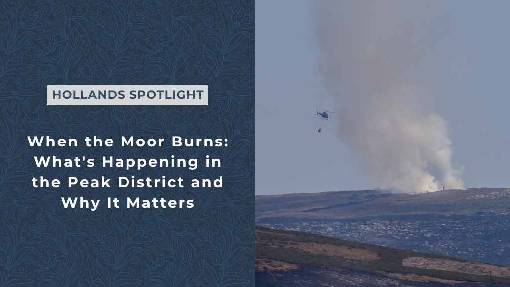 When the Moor Burns: What's Happening in the Peak District and Why It Matters