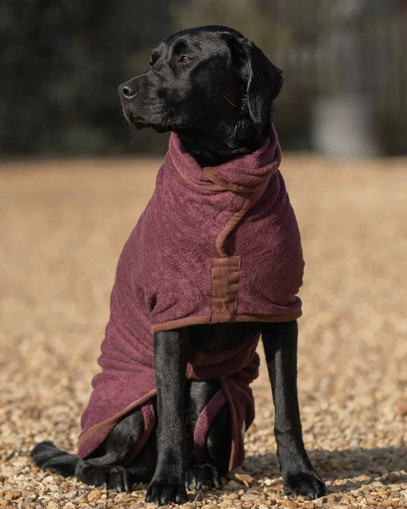 Black Labrador wearing a fleece dog drying coat outdoors on gravel ground
