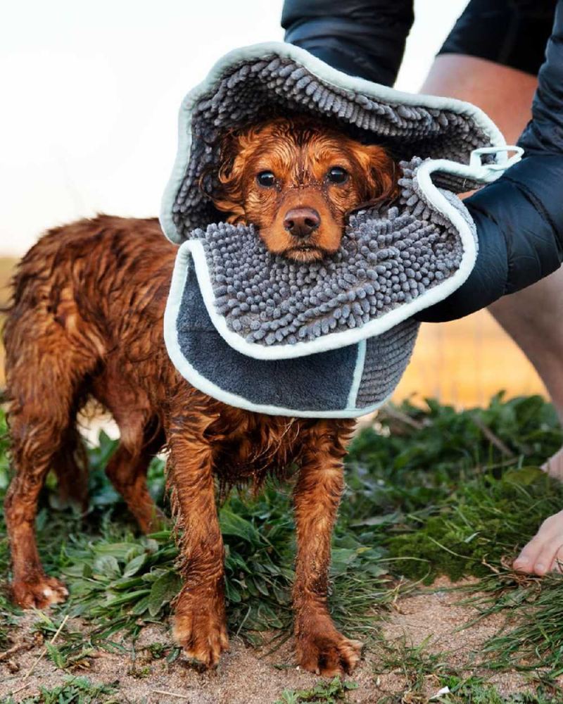 Wet spaniel dog wrapped in a microfibre drying towel outdoors after a walk