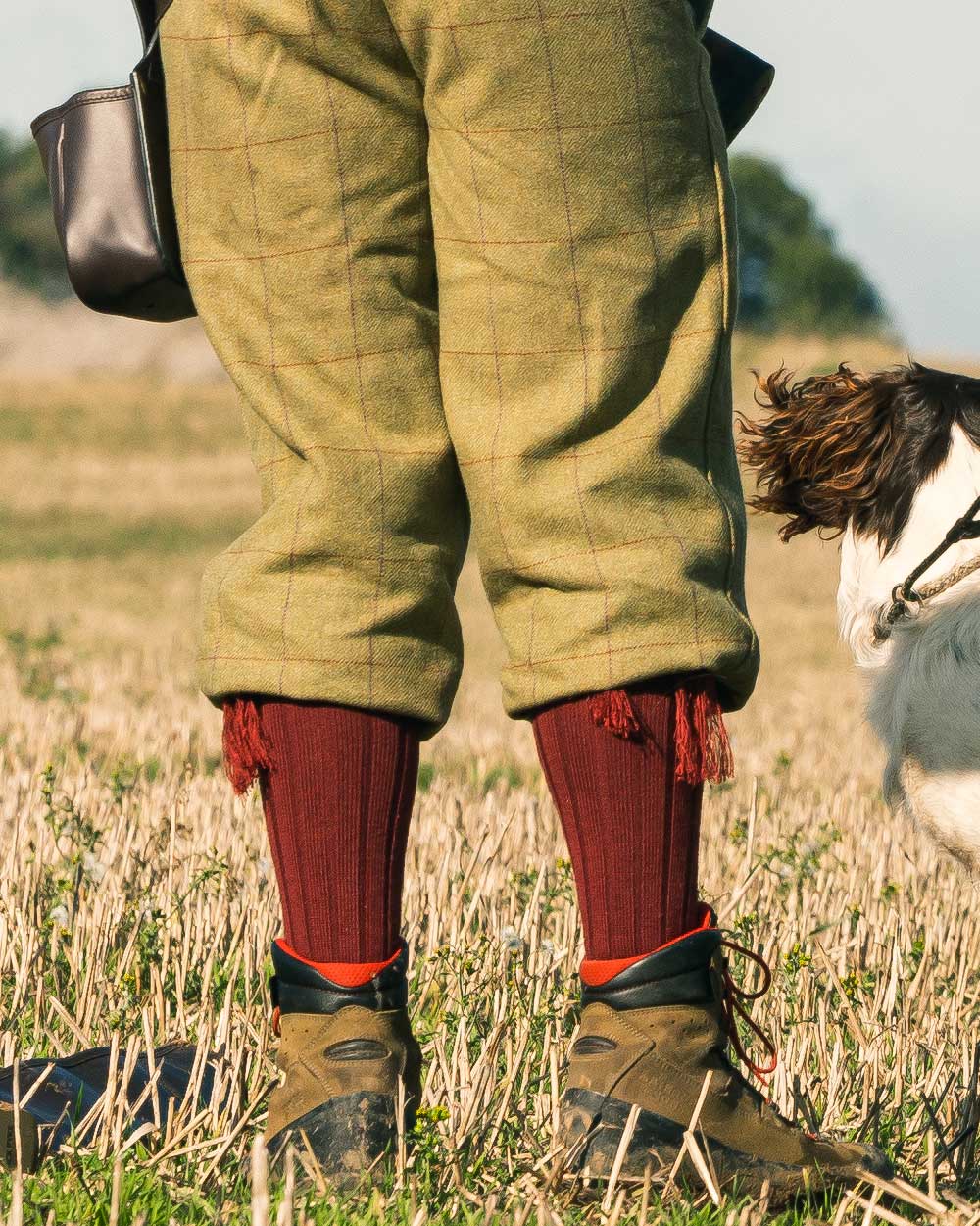 Jack Pyke Plain Shooting Socks in Burgundy 